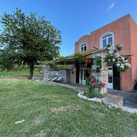 Villa Alba Capri Dış mekan fotoğraf